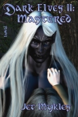 Original ebook cover art